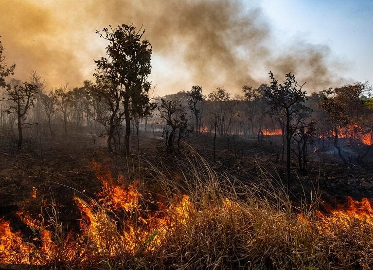 Imagem da notícia Como mudanças climáticas impulsionam incêndios no Brasil