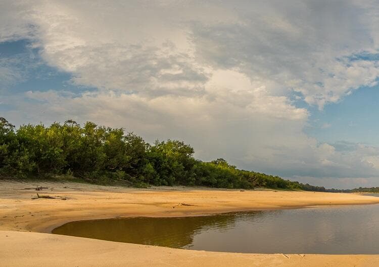 Imagem da notícia Seca na Bacia do Rio Amazonas preocupa cadeia do abastecimento