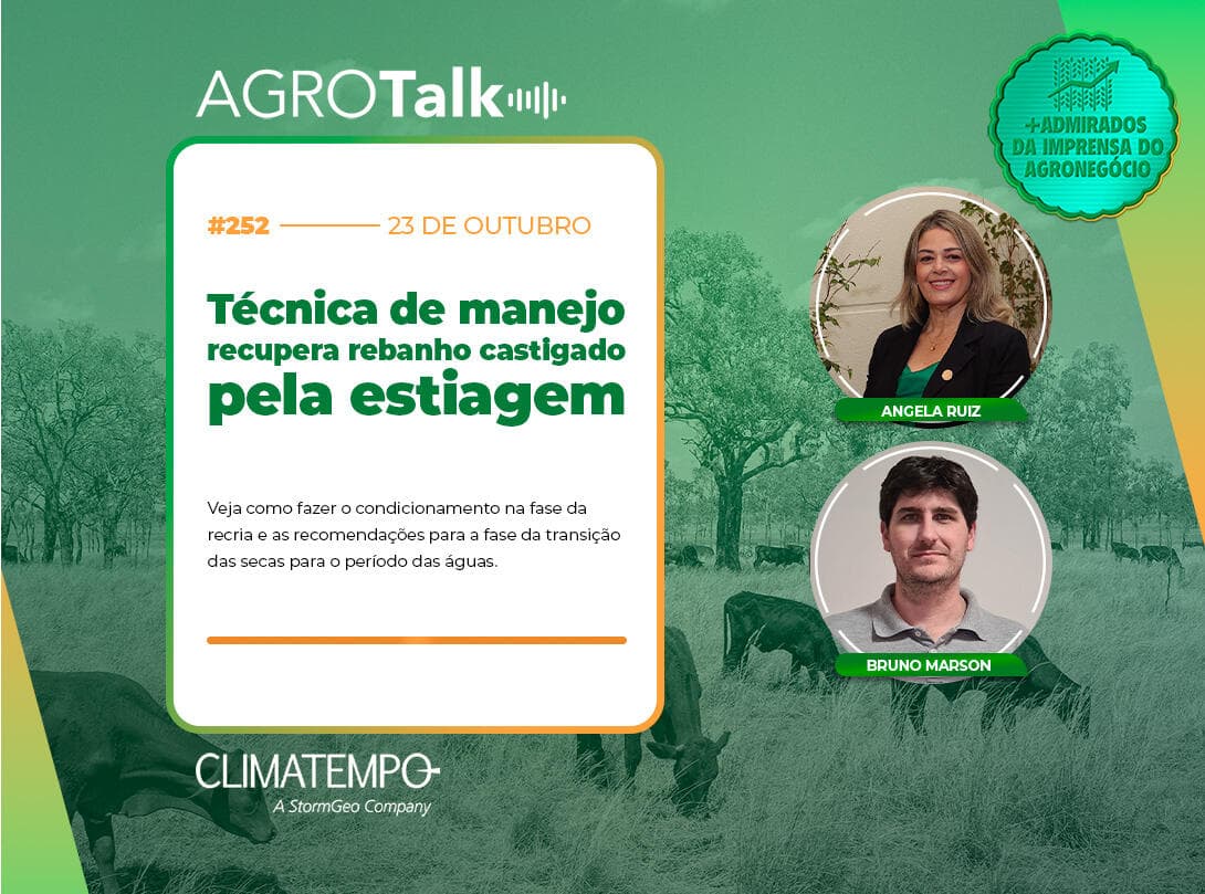 Técnica de manejo recupera rebanho castigado pela estiagem