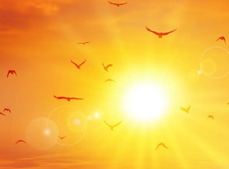 Imagem da notícia Novo recorde de calor no Brasil para 2025 Imagem da notícia Novo recorde de calor no Brasil para 2025