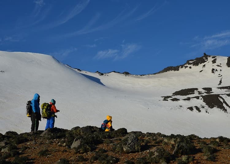 Imagem da notícia Cientistas descobrem novo fungo na Antártica