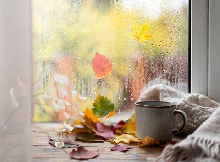 Imagem de destaque da notícia Sul do Brasil, MS e áreas do Sudeste terão frio de outono nos próximos dias