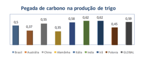 Pegada de carbono