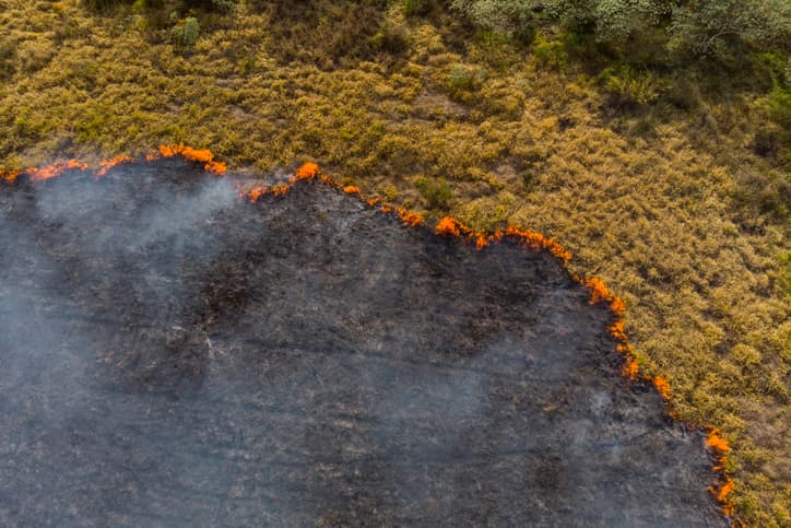 Imagem da notícia Queimadas caem quase 50%, mas seca pode mudar cenário