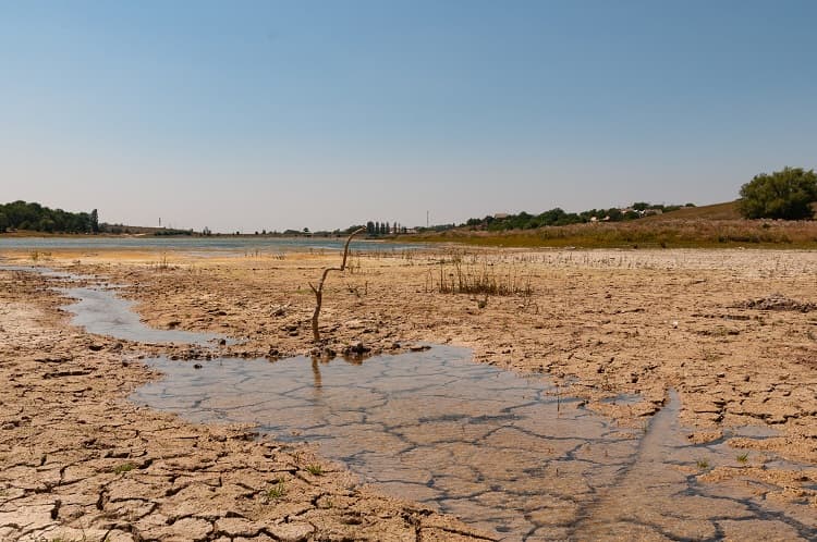 Imagem da notícia Seca atinge um quarto da Bacia Amazônica Imagem da notícia Seca atinge um quarto da Bacia Amazônica