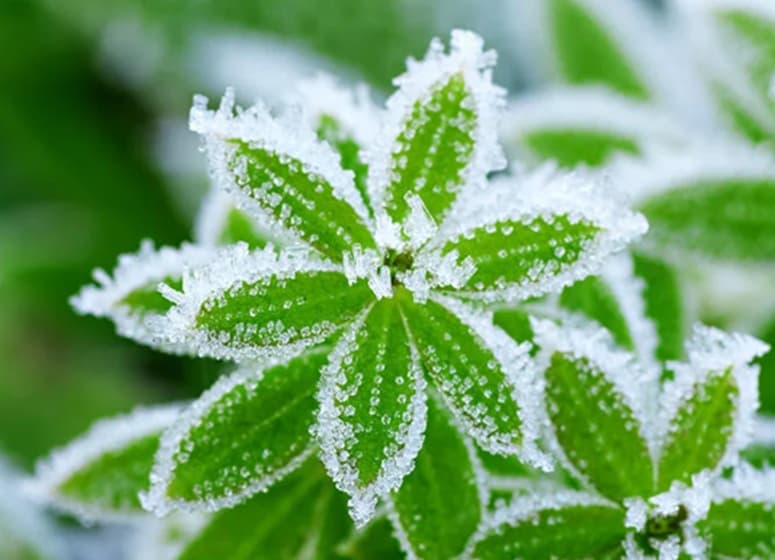 Imagem da notícia Sul do Brasil volta a registrar frio abaixo de 0°C