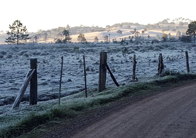 Imagem da notícia Frio abaixo de 0°C nesta quarta-feira no centro-sul do Brasil