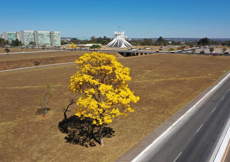 Imagem da notícia Com menos de 10°C, Brasília e Goiânia batem recorde de frio para 2025