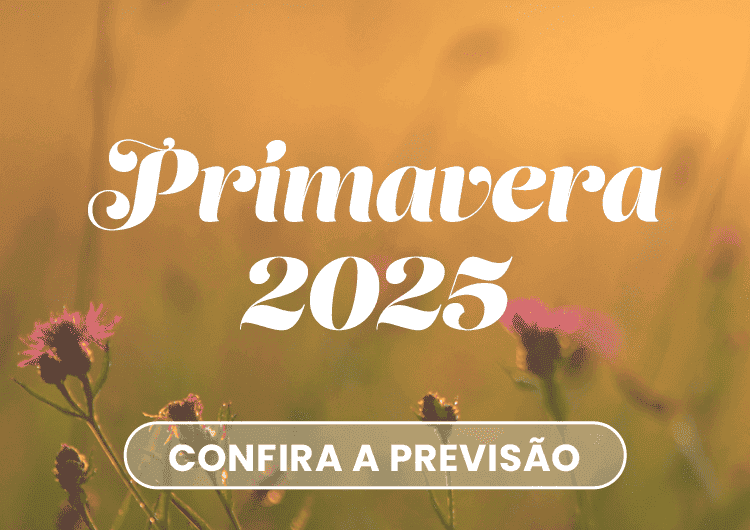 Imagem da notícia Primavera: características, quando começa e como se preparar Imagem da notícia Primavera: características, quando começa e como se preparar