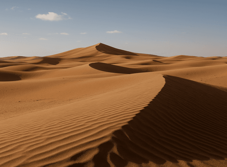 Imagem da notícia Baixa umidade no Brasil: por que não se compara ao clima dos desertos? Imagem da notícia Baixa umidade no Brasil: por que não se compara ao clima dos desertos?