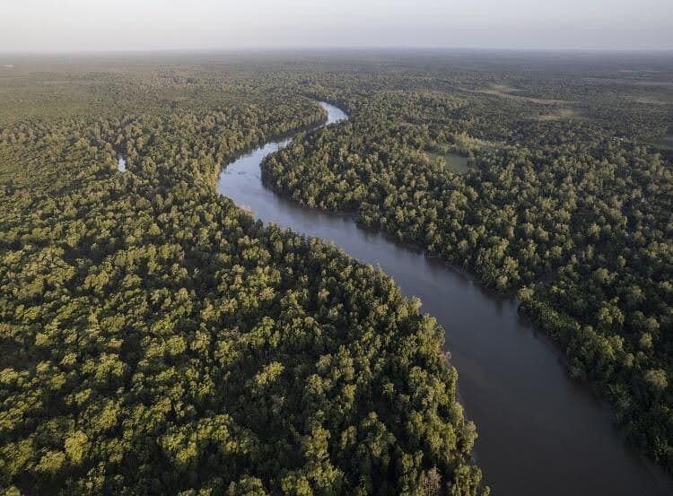 Vista aérea panorâmica de um rio marrom e sinuoso cortando o dossel denso e verdejante da floresta amazônica. A curva do rio destaca a vastidão da floresta tropical que se estende até o horizonte, sob uma luz suave do final da tarde. A imagem enfatiza a rica vegetação e o ecossistema fluvial da Amazônia. Vista aérea panorâmica de um rio marrom e sinuoso cortando o dossel denso e verdejante da floresta amazônica. A curva do rio destaca a vastidão da floresta tropical que se estende até o horizonte, sob uma luz suave do final da tarde. A imagem enfatiza a rica vegetação e o ecossistema fluvial da Amazônia.
