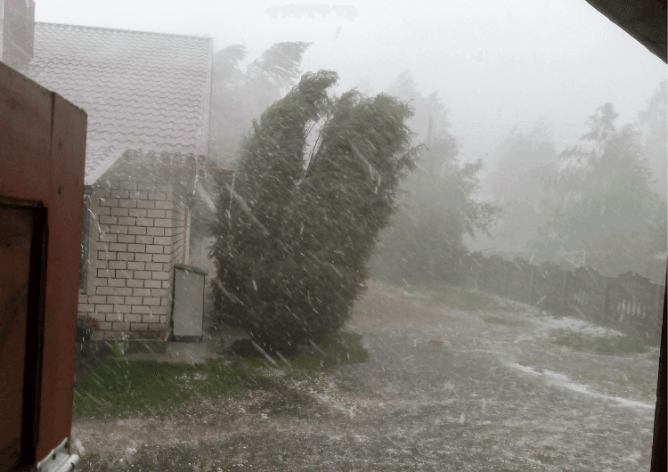 Imagem da notícia Radar Meteorológico de Porto Alegre detecta tempestade em Erechim a mais de 250 km de distância Imagem da notícia Radar Meteorológico de Porto Alegre detecta tempestade em Erechim a mais de 250 km de distância