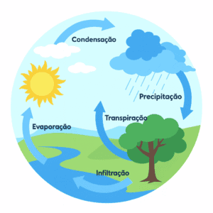 Infográfico do ciclo da água mostrando evaporação, condensação, precipitação, infiltração e transpiração.