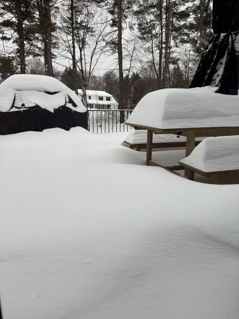 Imagem da notícia Tempestade de inverno deixa milhões sem energia e paralisa transportes nos EUA