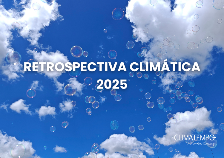 Imagem 2025: mais um ano em que o clima mostrou sua força no Brasil 