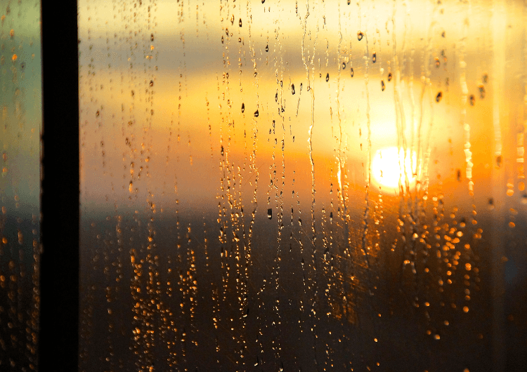 Imagem da notícia Calor continua no Centro-Oeste e chuva volta a ganhar força em MS e MT