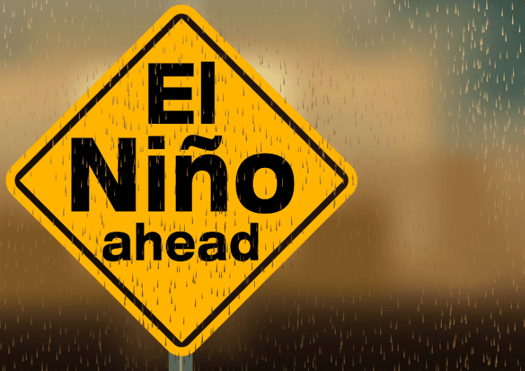 Imagem de destaque da notícia El Niño vem aí: entenda os possíveis impactos no Sul do Brasil
