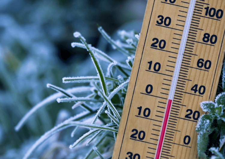 Imagem de destaque da notícia Massa de ar polar mais intensa de 2026 deve derrubar as temperaturas no Sul