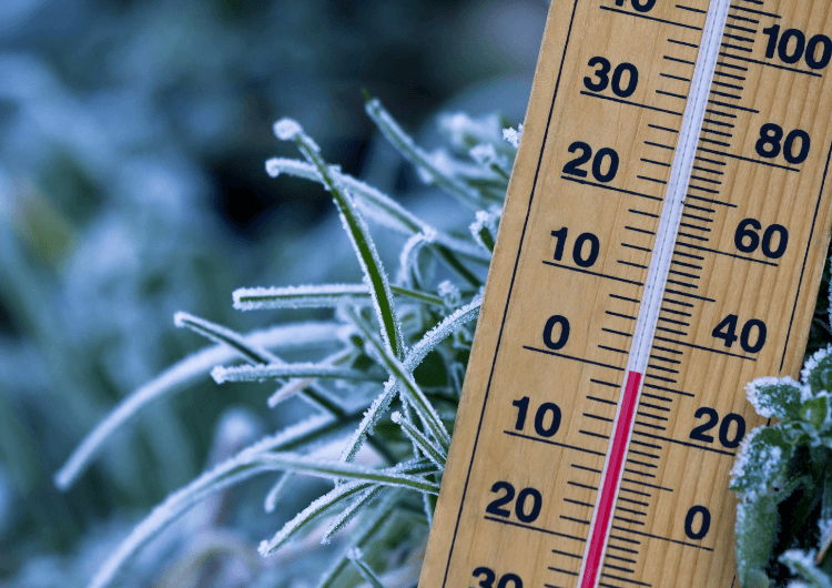 Imagem de destaque da notícia Onda de frio causa recordes de baixa temperatura em capitais brasileiras