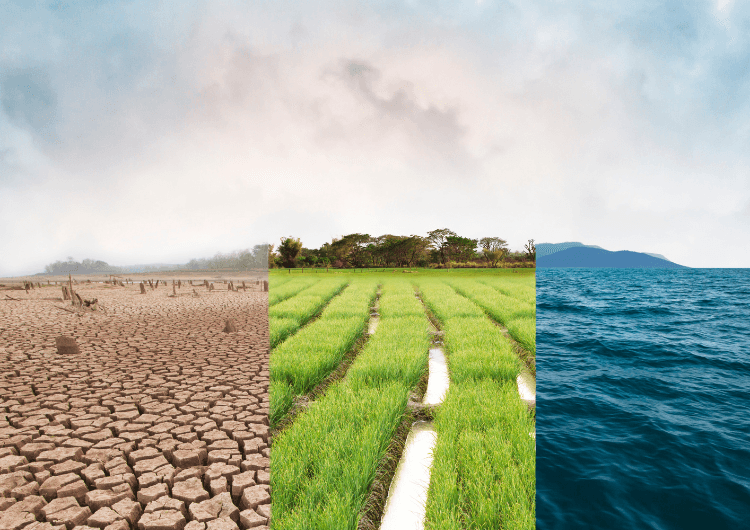 Imagem da notícia Risco climático já influencia investimentos, operações e lucros das empresas no Brasil