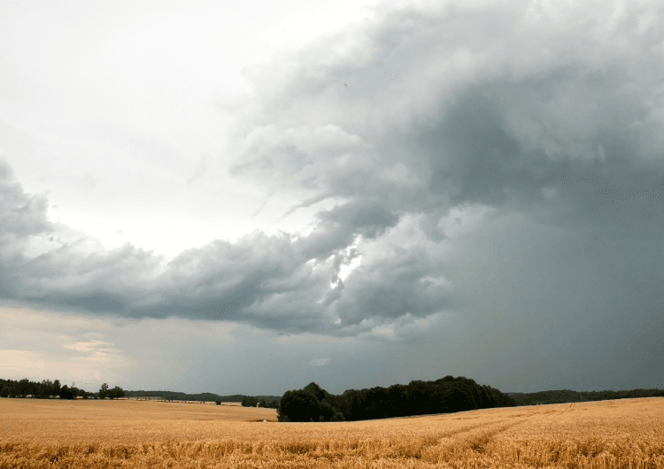 Imagem da notícia Frente fria muda o tempo no Sul no fim de semana e favorece temporais com granizo