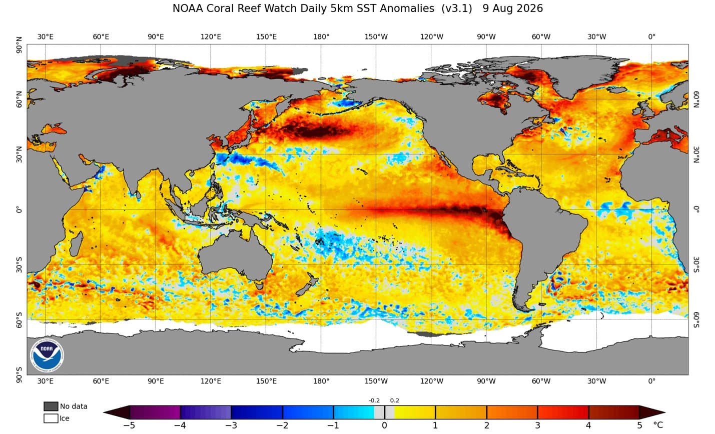 Imagem de destaque da notícia El Niño já está forte e deve se intensificar nos próximos meses