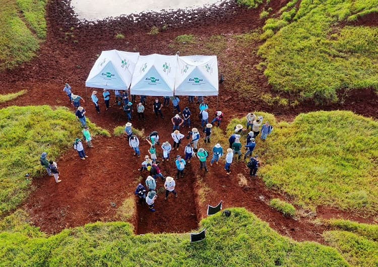 Imagem da notícia Estudo aponta perda de nascentes e assoreamento de rios em áreas rurais do Paraná Imagem da notícia Estudo aponta perda de nascentes e assoreamento de rios em áreas rurais do Paraná