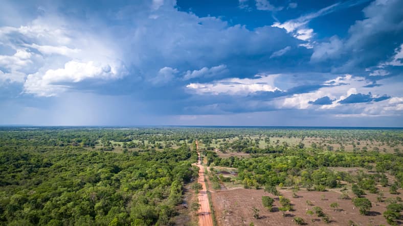Imagem da notícia Centro-Oeste tem início chuvoso em novembro: previsão é de mais chuva. Imagem da notícia Centro-Oeste tem início chuvoso em novembro: previsão é de mais chuva.