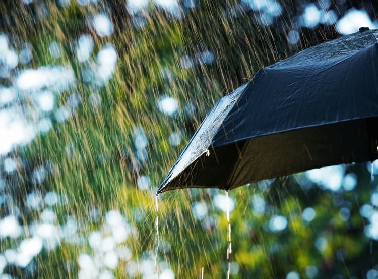 Imagem da notícia Última semana de novembro com calor em grande parte do país e chuva típica de primavera-verão Imagem da notícia Última semana de novembro com calor em grande parte do país e chuva típica de primavera-verão