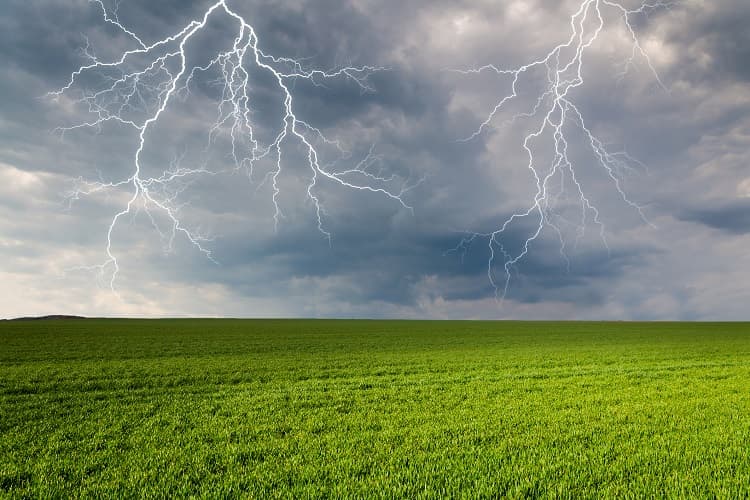 Imagem da notícia Agronegócio amplia monitoramento de eventos climáticos extremos para evitar perdas na produção
