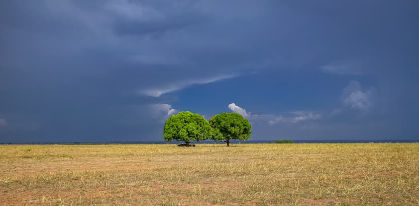Imagem da notícia Centro-Oeste sob alerta de chuva volumosa nos próximos dias