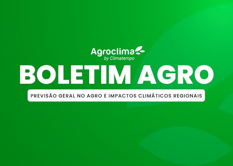 Imagem de destaque da notícia Previsão Semanal Agro: Frente fria muda o tempo no Brasil, veja impactos para café, soja, milho, cana e algodão