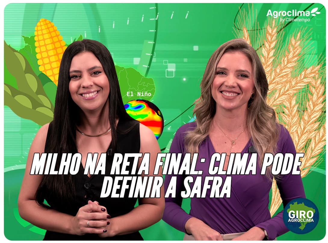 Imagem de destaque da notícia Safra de verão termina com recorde na soja e clima acende alerta para o trigo