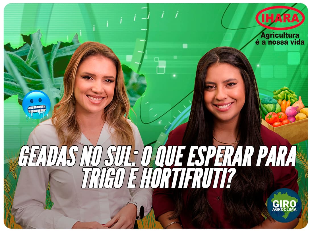 Imagem de destaque da notícia Giro Agroclima: geadas, trigo e hortifruti: como o clima deve evoluir neste inverno Imagem de destaque da notícia Giro Agroclima: geadas, trigo e hortifruti: como o clima deve evoluir neste inverno