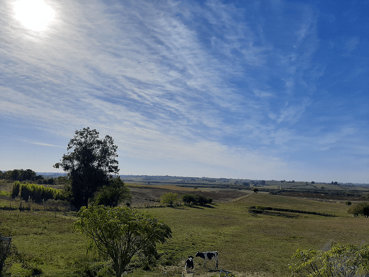 Imagem da notícia Chuva para e Rio Grande do Sul terá fim de semana com sol e frio Imagem da notícia Chuva para e Rio Grande do Sul terá fim de semana com sol e frio