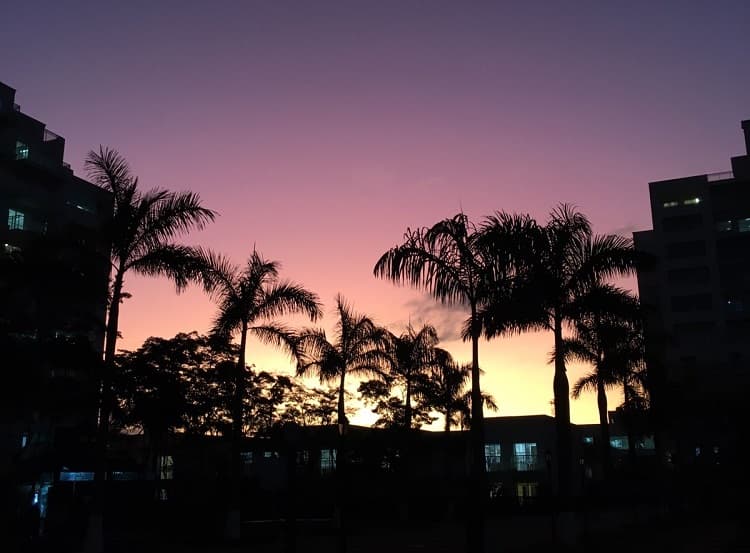 Imagem da notícia Quando São Paulo vai ter frio de 10°C? Imagem da notícia Quando São Paulo vai ter frio de 10°C?