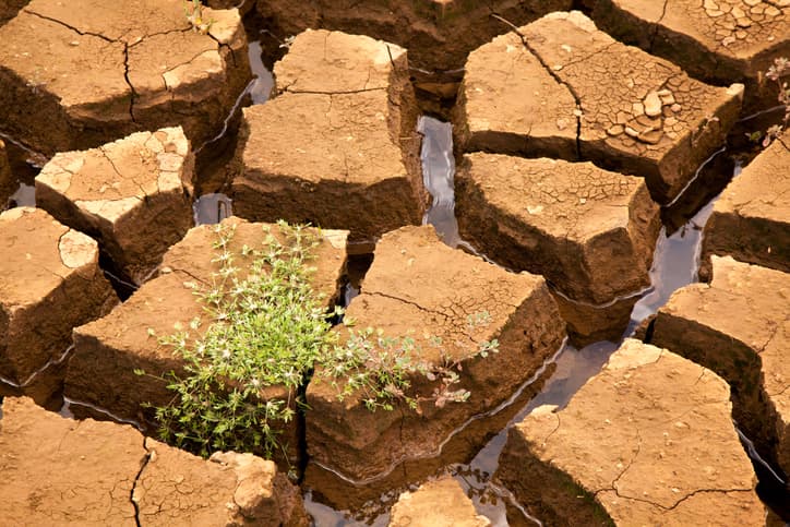 Imagem da notícia Volume da água em SP cai e Sabesp adota medida emergencial Imagem da notícia Volume da água em SP cai e Sabesp adota medida emergencial