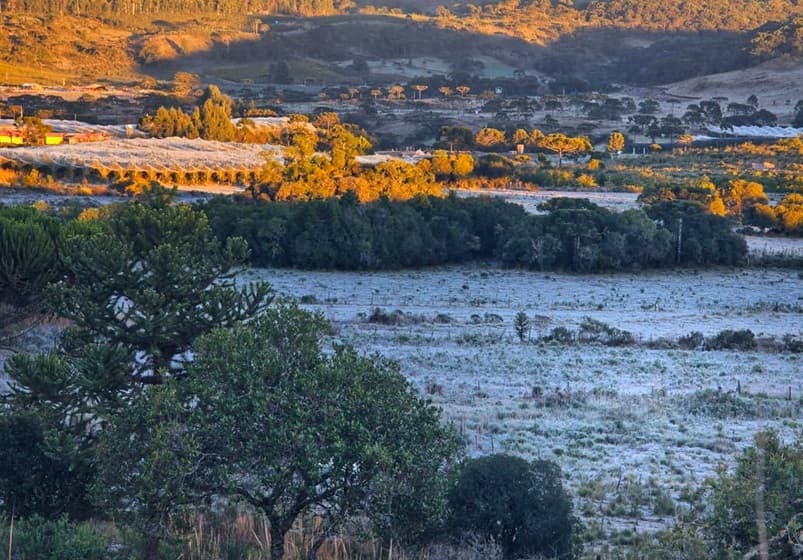 Imagem da notícia Frio abaixo de 0°C no RS, SC, PR e MG. Recorde de frio no Rio de Janeiro e em Goiânia. Imagem da notícia Frio abaixo de 0°C no RS, SC, PR e MG. Recorde de frio no Rio de Janeiro e em Goiânia.
