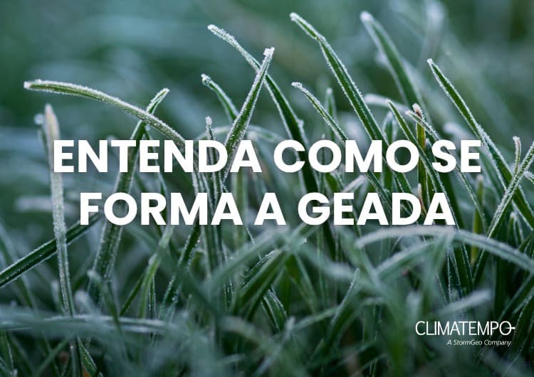 Imagem de destaque da notícia Geada: entenda como o fenômeno se forma Imagem de destaque da notícia Geada: entenda como o fenômeno se forma