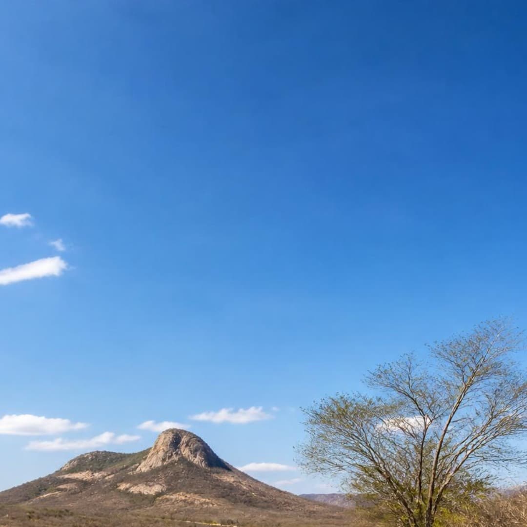 Imagem da notícia Interior do Nordeste segue seco, quente e com rajadas de vento Imagem da notícia Interior do Nordeste segue seco, quente e com rajadas de vento