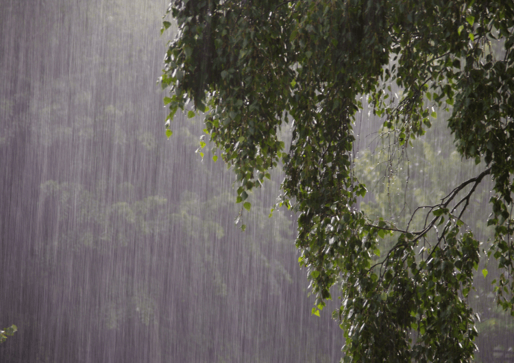 Imagem da notícia Norte tem chuva intensa em áreas do Amazonas, Roraima e Amapá Imagem da notícia Norte tem chuva intensa em áreas do Amazonas, Roraima e Amapá
