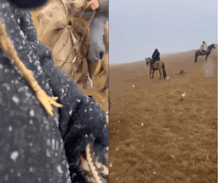 Imagem da notícia Após neve no domingo, Sul do Brasil tem muita geada nesta segunda-feira Imagem da notícia Após neve no domingo, Sul do Brasil tem muita geada nesta segunda-feira