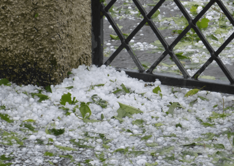 Temporais deixam mais de 170 mm no Sul; veja a previsão para os próximos dias Temporais deixam mais de 170 mm no Sul; veja a previsão para os próximos dias