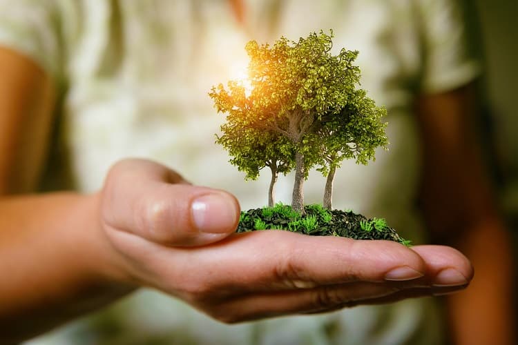 Imagem da notícia Mercado de Carbono irá fomentar a preservação ambiental Imagem da notícia Mercado de Carbono irá fomentar a preservação ambiental