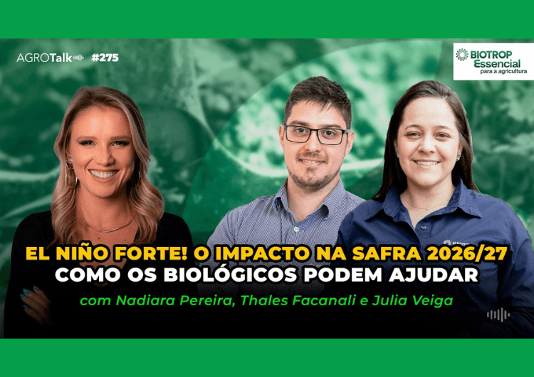 Imagem de destaque da notícia El Niño na safra 2026/27: quais serão os impactos no agronegócio? Imagem de destaque da notícia El Niño na safra 2026/27: quais serão os impactos no agronegócio?