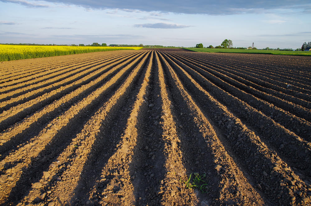 Resultado de imagem para Agronegócio do Brasil, China e da Europa